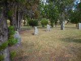 image of grave number 800020
